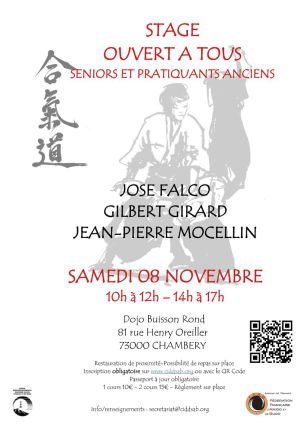 aikido annecy seynod