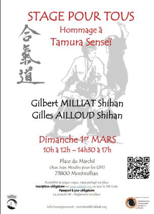 aikido annecy seynod