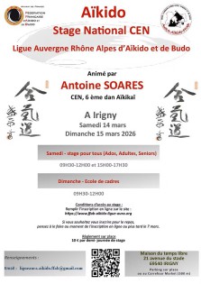 stage aikido à seynod
