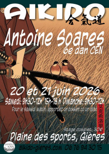 stage aikido à seynod