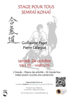 stage aikido à seynod