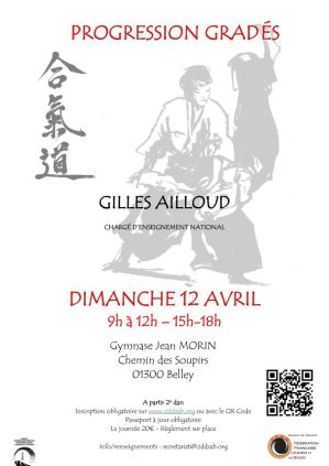 aikido annecy seynod